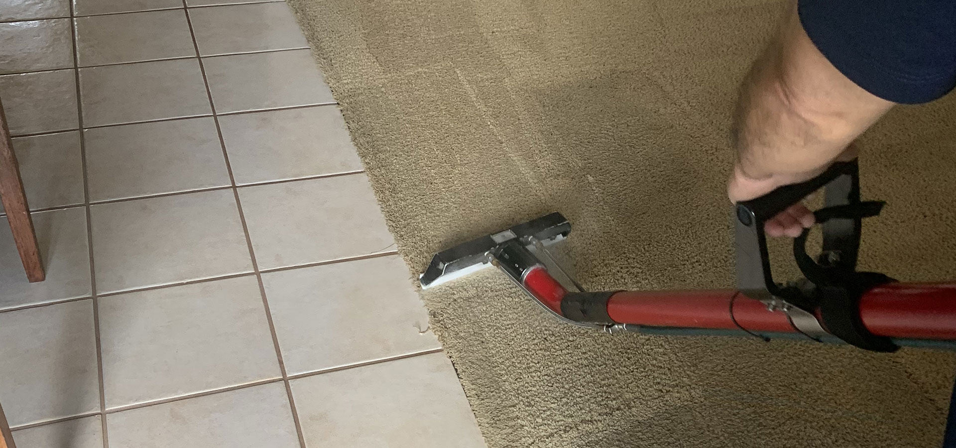 True Carpet Cleaning Serving San Diego and Surroundings